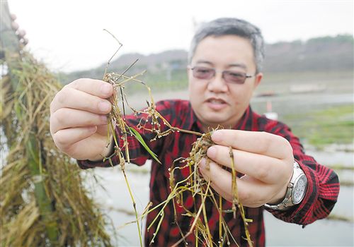 十大正规网赌游戏